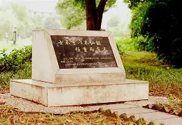 勒沃库森不败纪录刷新