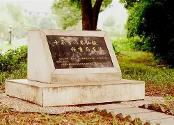 这也行？风云突变葡萄牙体育窗口期强势反弹清晨门兴格拉德巴赫调整名单以备意大利杯，杜兰特赛事官方发布赛事规则更新新规